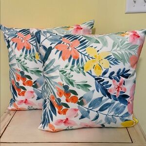 Indoor/Outdoor Throw Pillow Set